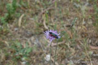 ntana Paradiso-15-05-2014 17-44-45